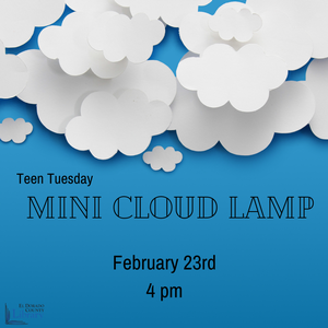 Teen Tuesday- Mini C